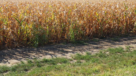 Similar image 21406380