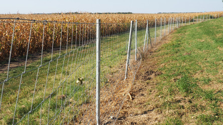 Similar image 21406381