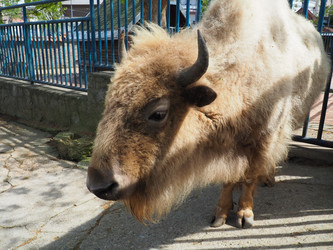 Similar image 21415739