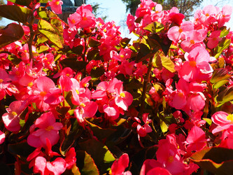 Similar image 21415746