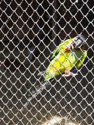 Similar image 21415751