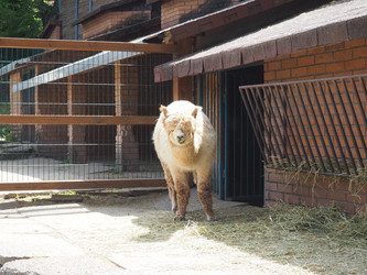 Similar image 21415752