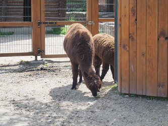 Similar image 21415753