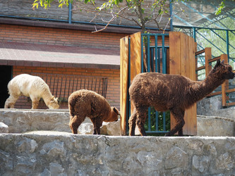 Similar image 21415755