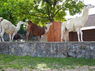 Similar image 21415756