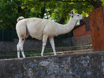 Similar image 21415964