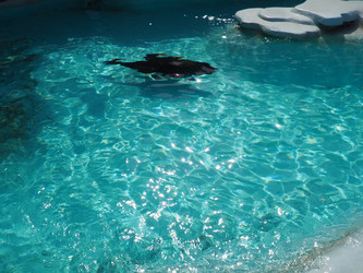 Similar image 21415965