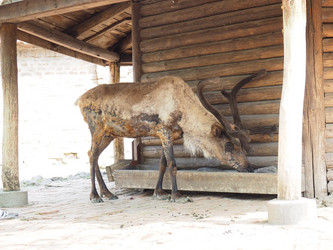 Similar image 21416159