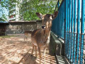 Similar image 21416328