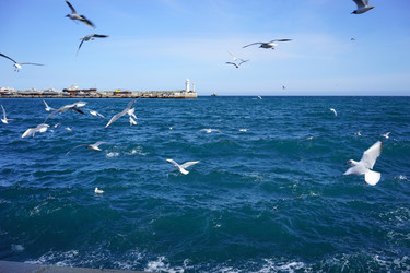 Similar image 21382614