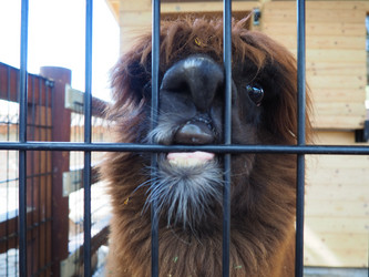 Similar image 21417250