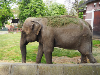 Similar image 21417255