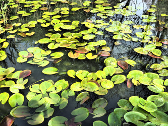 Similar image 21417752