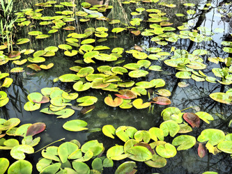 Similar image 21418076