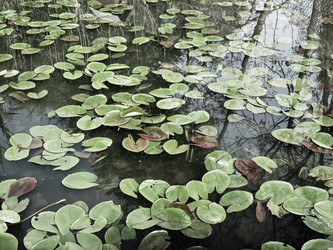 Similar image 21418078