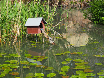 Similar image 21418080