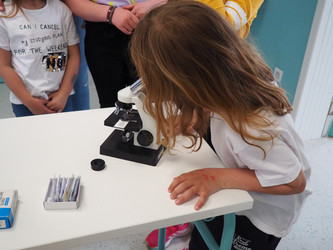 Similar image 21405515