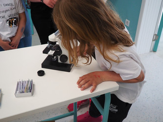 Similar image 21405517