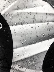 Similar image 21382082