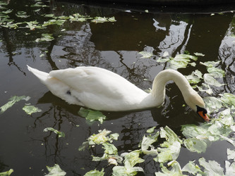 Similar image 21415967