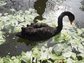 Similar image 21415968