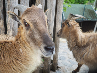 Similar image 21416160