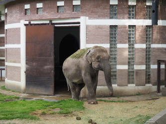 Similar image 21416329