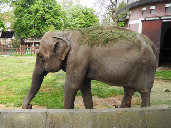 Similar image 21416330