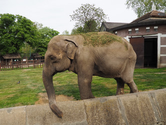 Similar image 21416452