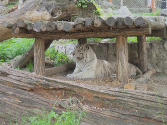 Similar image 21416875