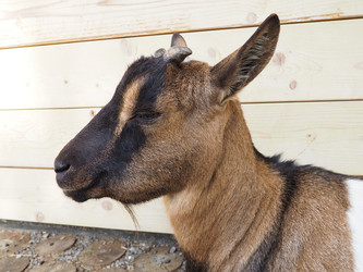 Similar image 21416879