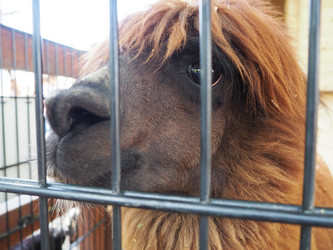 Similar image 21417259