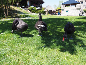 Similar image 21423231