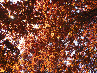 Similar image 21418314