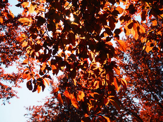 Similar image 21418315