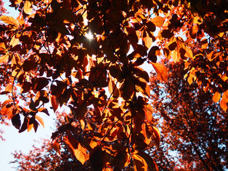 Similar image 21418316