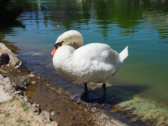 Similar image 21404337