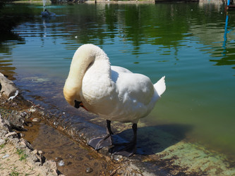 Similar image 21404338