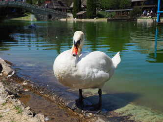 Similar image 21404339