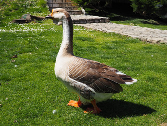 Similar image 21404340