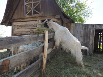 Similar image 21404344