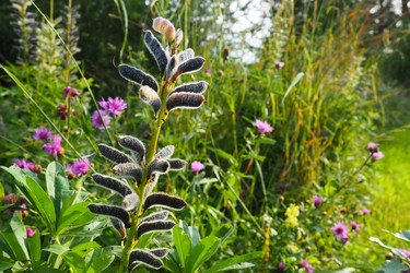 Similar image 21404523