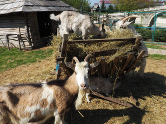 Similar image 21404524