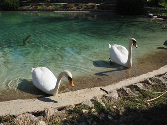 Similar image 21405543