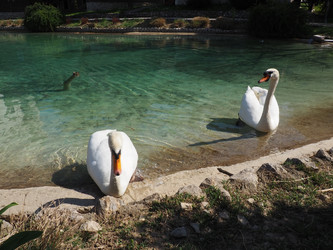 Similar image 21405545