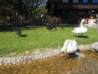 Similar image 21405546