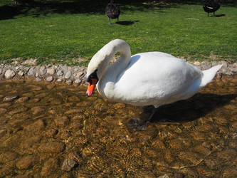 Similar image 21405547