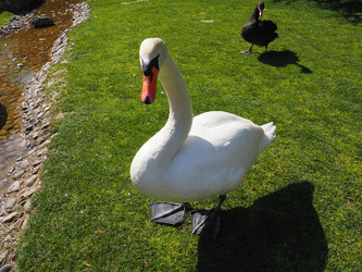 Similar image 21405548