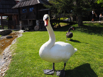 Similar image 21405549