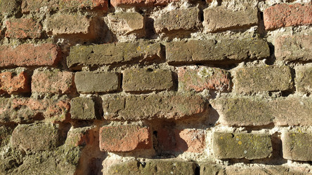 Similar image 21405561